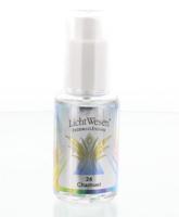 Lichtwesen Chamuel tinctuur 24