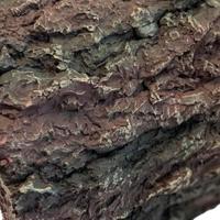 Repto Aquadistri deco bark xl - Aquadistri Repto Aquadistri deco bark xl - Aquadistri