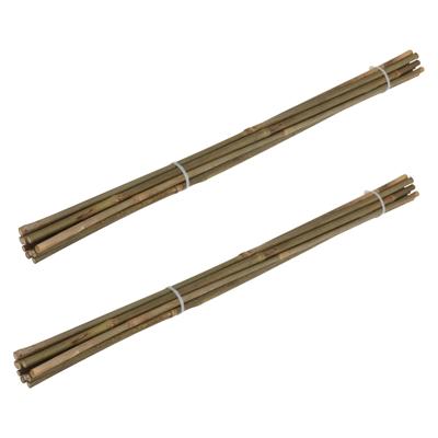 Pro Garden Plantenstokken - 20x - bamboe - H60 cm - plantensteun - bamboestokken/tonkinstokken