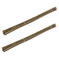 Pro Garden Plantenstokken - 20x - bamboe - H60 cm - plantensteun - bamboestokken/tonkinstokken