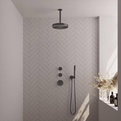 BRAUER Stripe Thermostatische Inbouw Regendouche - SET 03 - 25cm douchekop - plafondarm - staaf handdouche - doucheslang - wandaansluitbocht - gunmetal geborsteld PVD 5-GM-369