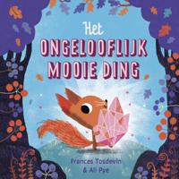 Het ongelooflijk mooie ding (Hardback)