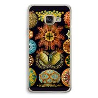 Haeckel Ascidiae: Samsung Galaxy A3 (2016) Transparant Hoesje