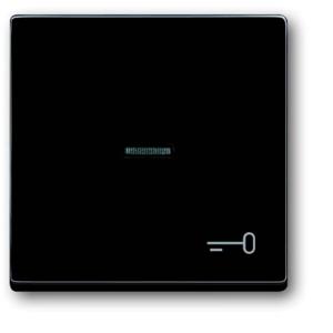 Busch-Jaeger 2CKA001751A2933 Wipschakelaar sleutel Afdekking Busch-axcent, Carat, Future lineair Antraciet, Zwart-grijs 1 stuk(s)