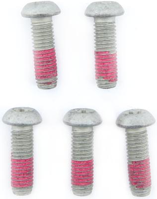 TRW Screw 5pcs. for brake rotors,5 pcs.