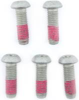 TRW Screw 5pcs. for brake rotors,5 pcs.