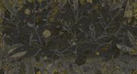 Muance Muance Fotobehang Lost world - MU12102