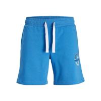 Sportbroekje voor heren Jack & Jones JPSTANDY SWEAT 12225087 Blauw - Maat: XL