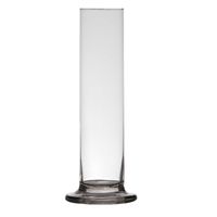 Luxe stijlvolle 1 bloem vaas/vazen 25 x 6 cm transparant glas   - - thumbnail