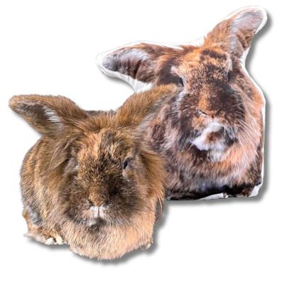 Konijnen Kussen - kussen met foto - Pillow Buddies