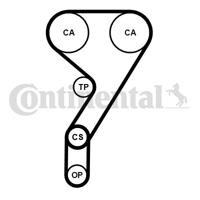 Distributieriemset CONTINENTAL CTAM, u.a. für Ford