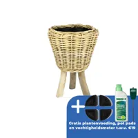 Drypot rotan naturel poten d27h42cm