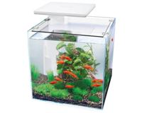 Superfish Qubiq 60 Pro Wit Aquarium - 57L, Led-verlichting met Dimfunctie, Modern Design