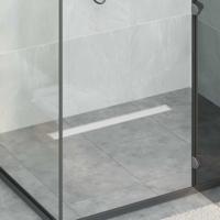 Doucheafvoer 2-in-1 met 360 Sifon Zilver 70 cm