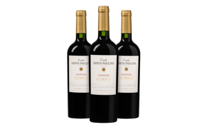 Castillo Santa Paulina Carmenère Reserva Probeerpakket (3 flessen)