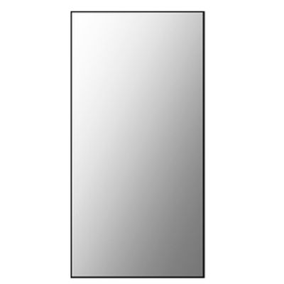 Spiegel Basic Plieger Sanitair 60x30cm Rechthoekig