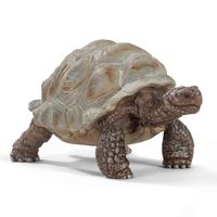 schleich WILD LIFE Reuzenschildpad - 14824 - thumbnail