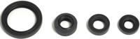 ATHENA motor-keerring set motorshield yz 450,06-10,wrf 04-10
