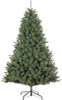 Black Box Trees Norwood kunstkerstboom groen 215cm