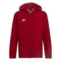 Sportjack voor kinderen Adidas Entrada 22 Kids Rood Maat 15-16 Jaar