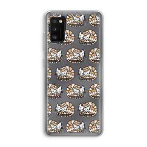 Slapende poes: Samsung Galaxy A41 Transparant Hoesje