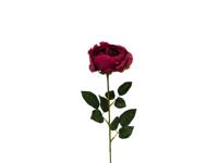 Kunst engelse roos boroodeaux, 59 cm - Buitengewoon de boet