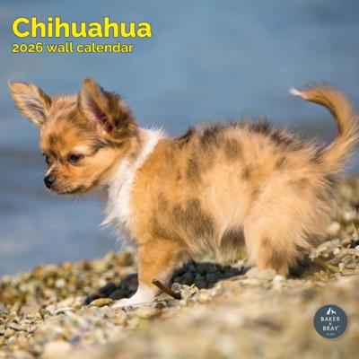 Chihuahua Kalender 2026