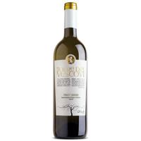 Pinot Grigio 2022 - Cantina Colli Vicentini - 75CL - 13% Vol.