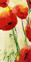 Kunstdruk Heidi Reil - Klatschmohn 50x100cm