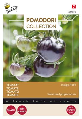 Pomodori Indigo rose (zwart) - Buzzy