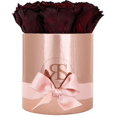 Flowerbox longlife Zara chocolate Flowerbox longlife Zara chocolate
