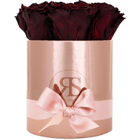 Flowerbox longlife Zara chocolate Flowerbox longlife Zara chocolate