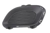 Ventilatiegrille, bumper 6502073279915P