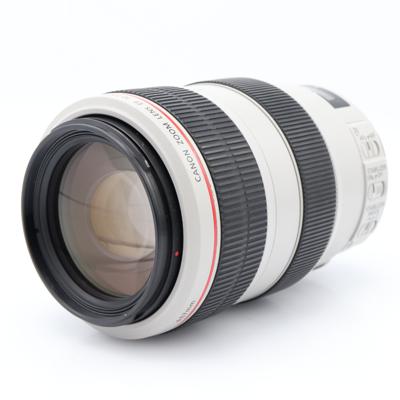 Canon EF 70-300mm F/4-5.6 L IS USM occasion