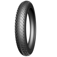 Edge Buitenband Fatbike Fat BST Protect 20 x 4.00" / 100-406mm zwart