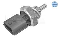 Temperatuursensor 16148210003
