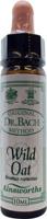 Ainsworths Wild oat Bach 10 Milliliter