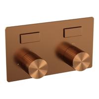 BRAUER Stripe 2-weg Inbouwthermostaat - drukknoppen - in- en afbouwdelen - koper geborsteld PVD 5-GK-355