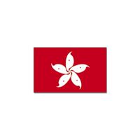 Vlag van Hong Kong - 90 x 150 cm - Hong Kong landen thema - supporters / fans - versiering