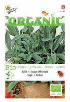 Organic Salie (Skal 14275) - Buzzy