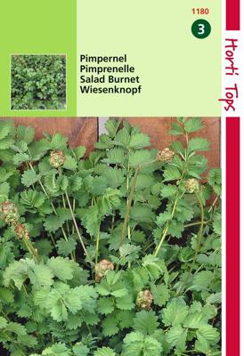 Pimpernel Kleine - Hortitops