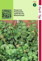 Pimpernel Kleine - Hortitops