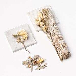 Flower Power Salie Stick (large: 22cm) - Naturel Droogbloemen