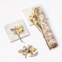Flower Power Salie Stick (large: 22cm) - Naturel Droogbloemen - thumbnail