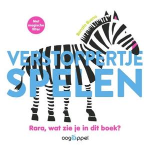 Verstoppertje spelen (Hardback)
