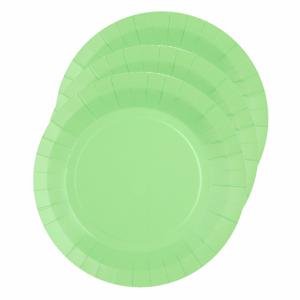 Santex Bordjes karton - 30x - rond - mintgroen - 22 cm - feestbordjes