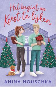 Het begint op kerst te lijken - Anina Nouschka - ebook