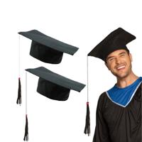 Afstudeer/geslaagd hoedje - 6x - zwart - diploma gehaald - doctoraal hoed voor studenten