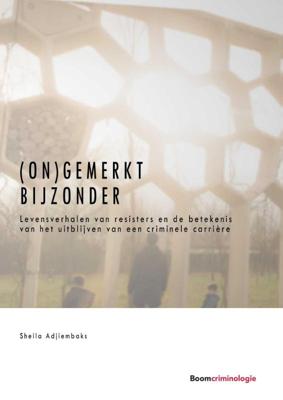 (On)gemerkt bijzonder (Paperback)