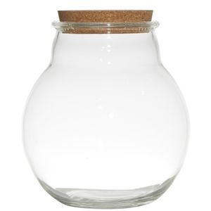 Glazen voorraadpot/snoeppot/terrarium vaas van 19 x 21.5 cm met kurk dop